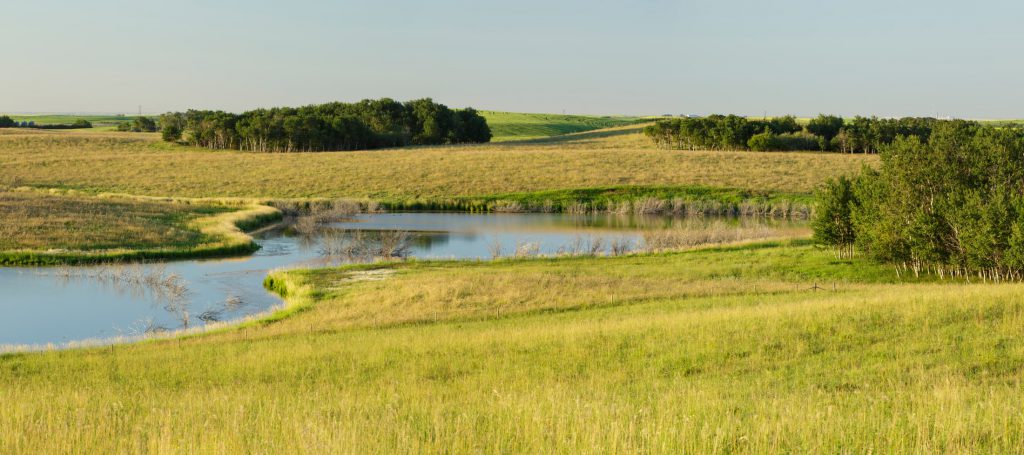 Forage Program from DUC and Nutrien Ag Solutions