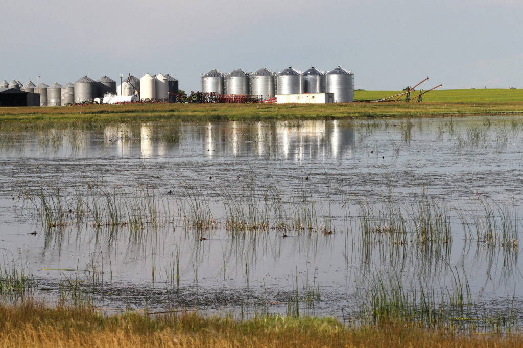 Forage Program from DUC and Nutrien Ag Solutions