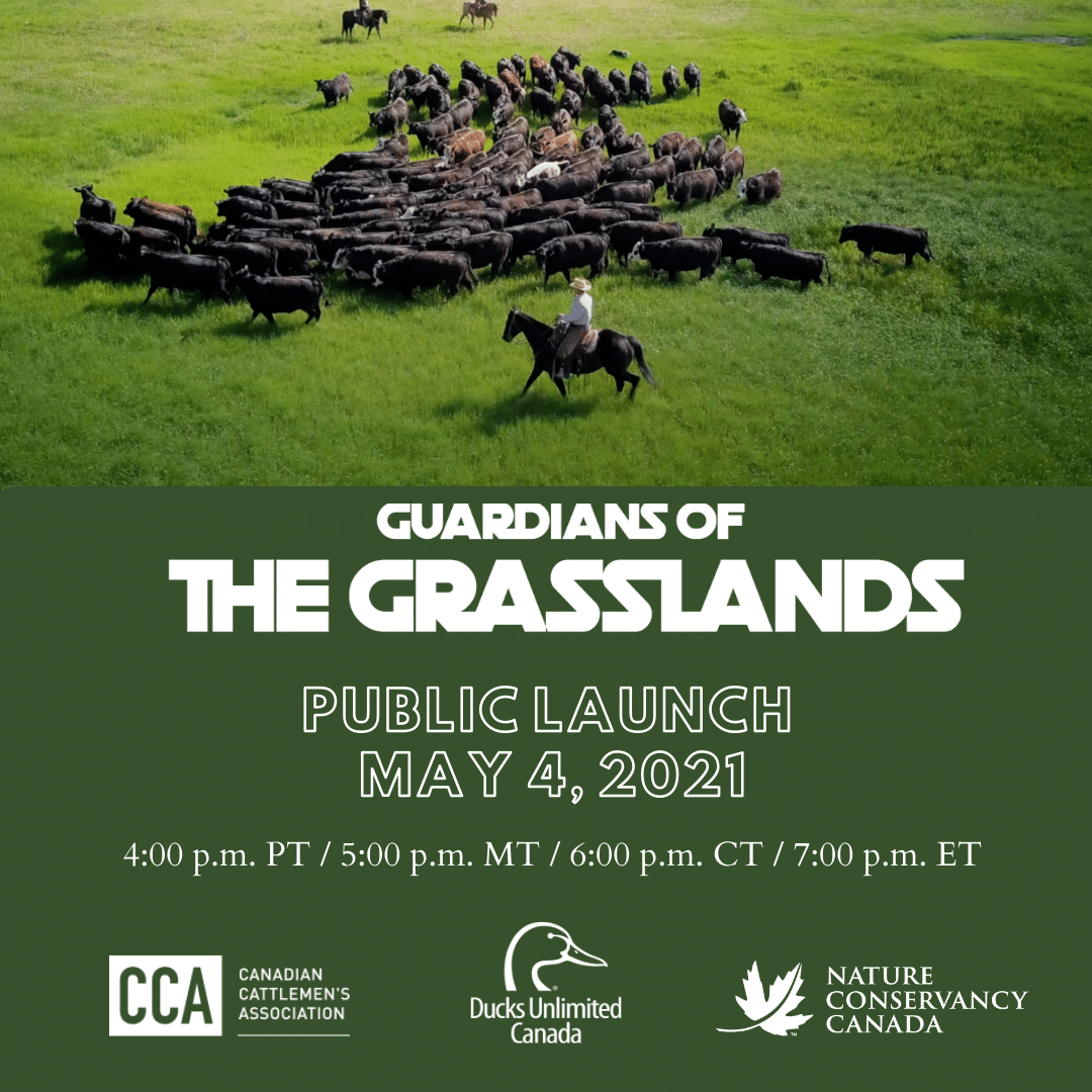 Agriculture Programs Ducks Unlimited Canada Events
