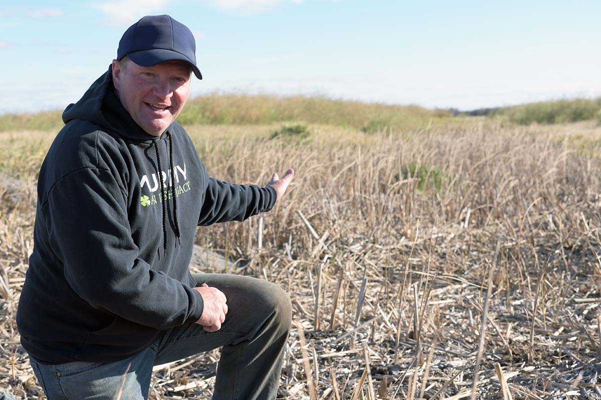 photos shows Sean Murphy in the ditch built 50 years ago to drain low-lying wetlands on his land near Souris MB (photo DUC)