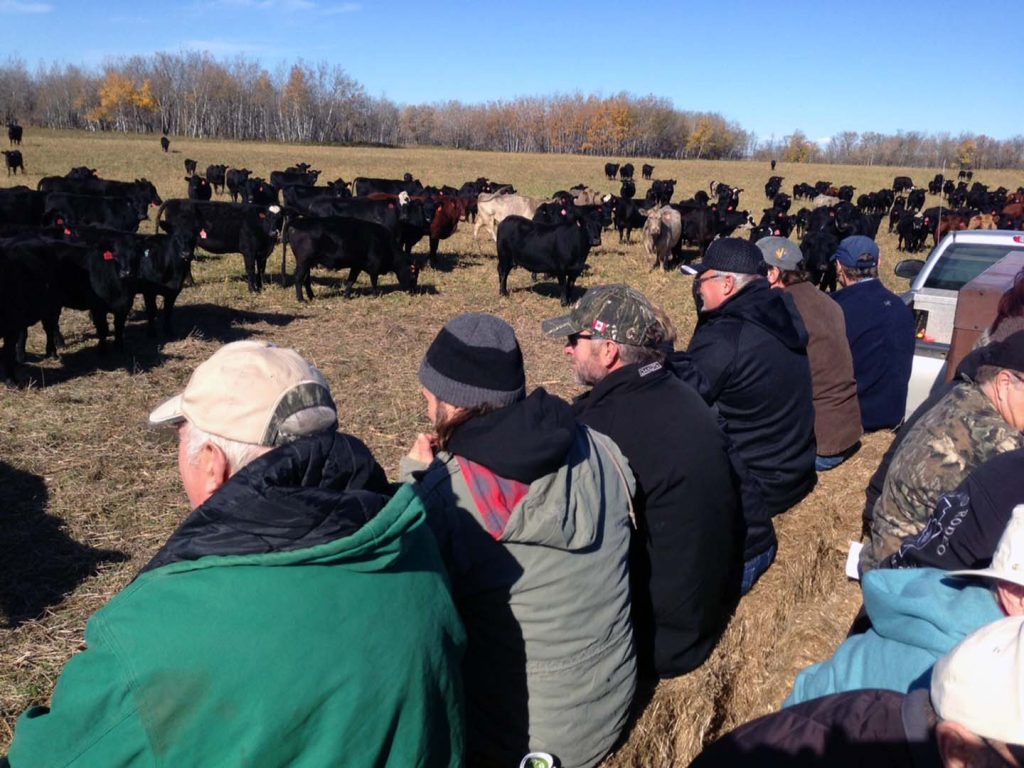 photo shows ranchers gathered at a DUC Grazing Club event in Manitoba