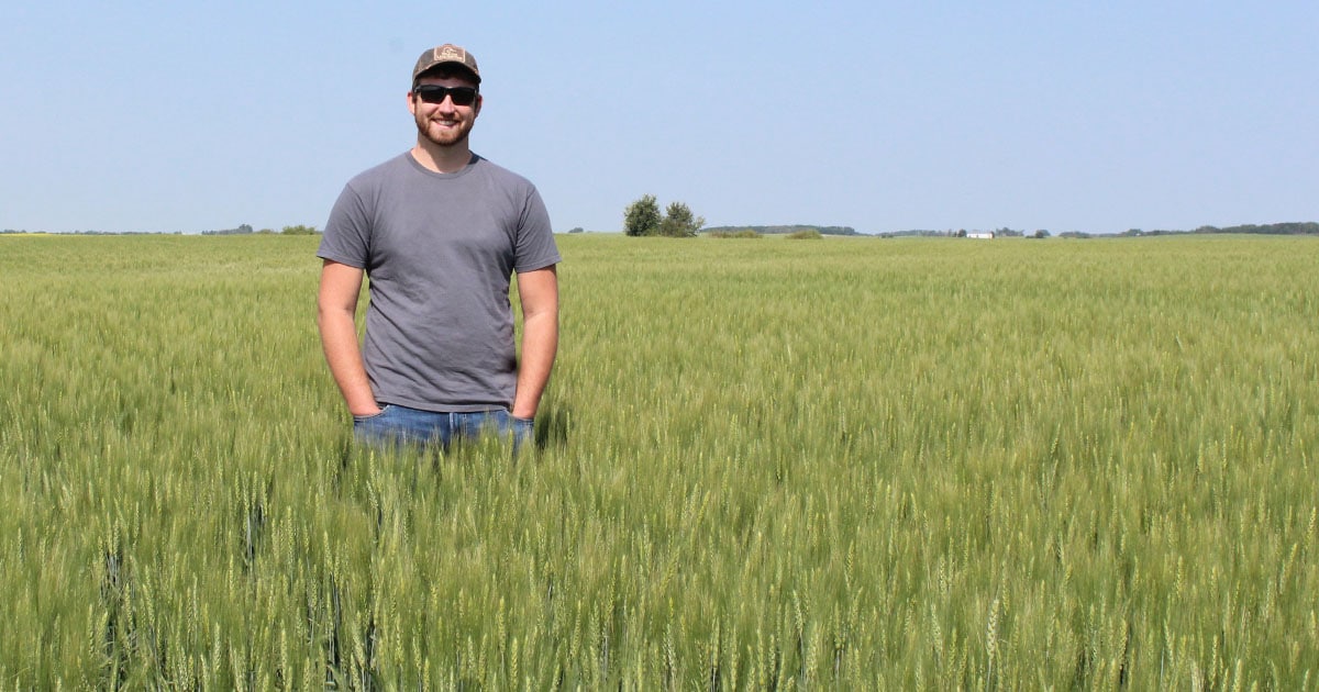 DUC specialist Alex Griffiths inspects winter winter at the Higgott farm near Newdale MB in 2021 (photo DUC)