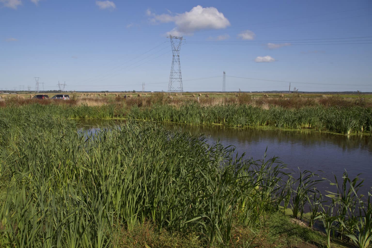 agriculture-programs-ducks-unlimited-canada-atlantic-canada
