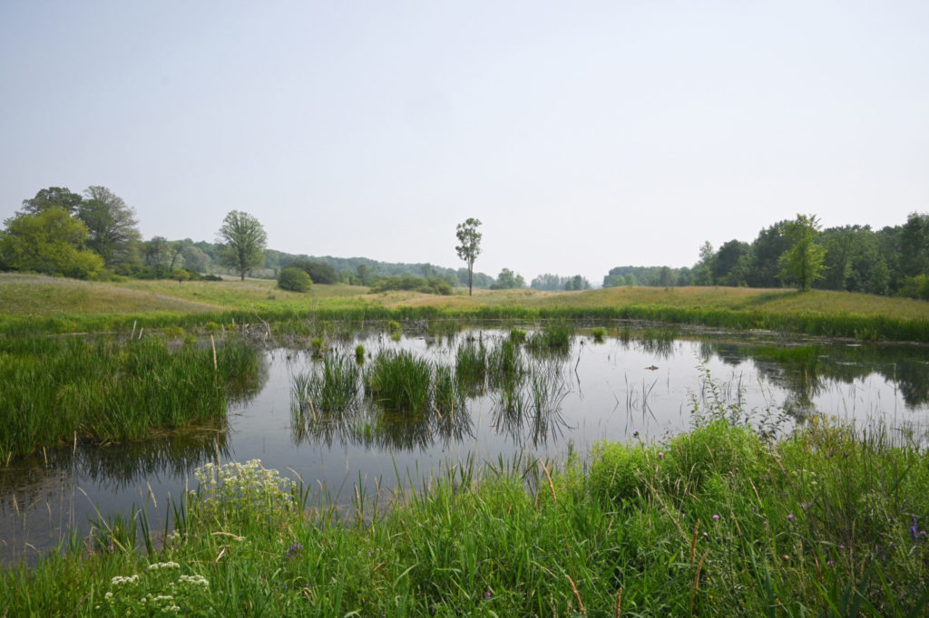 A pond in a rural farm.
