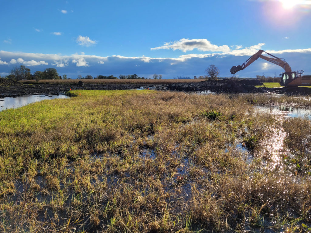 A close up shot of wetlands, with a backhoe doing construction work in the background.