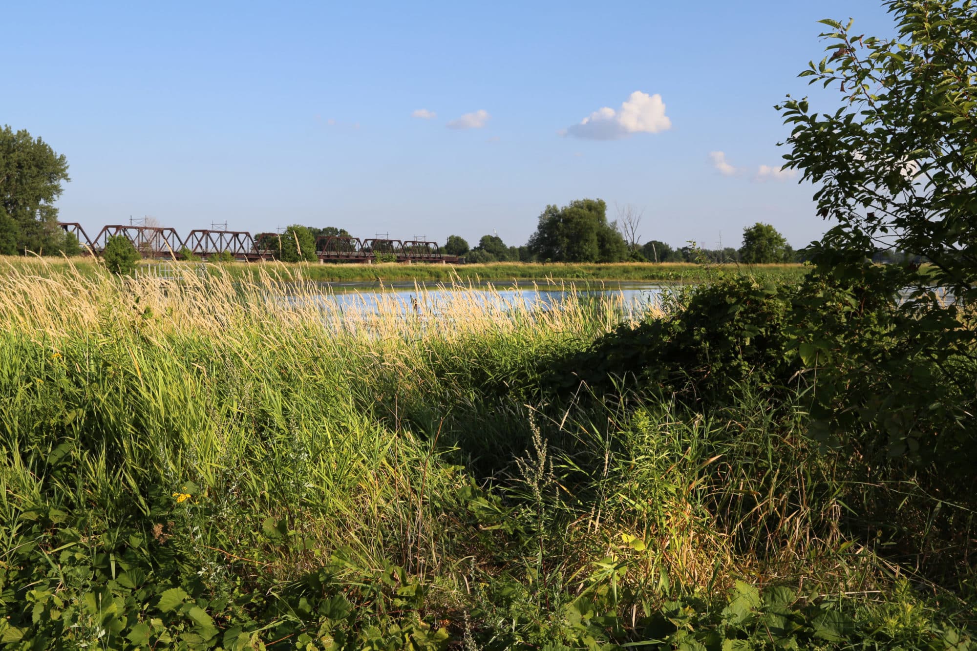 Ducks Unlimited Conservation Programs