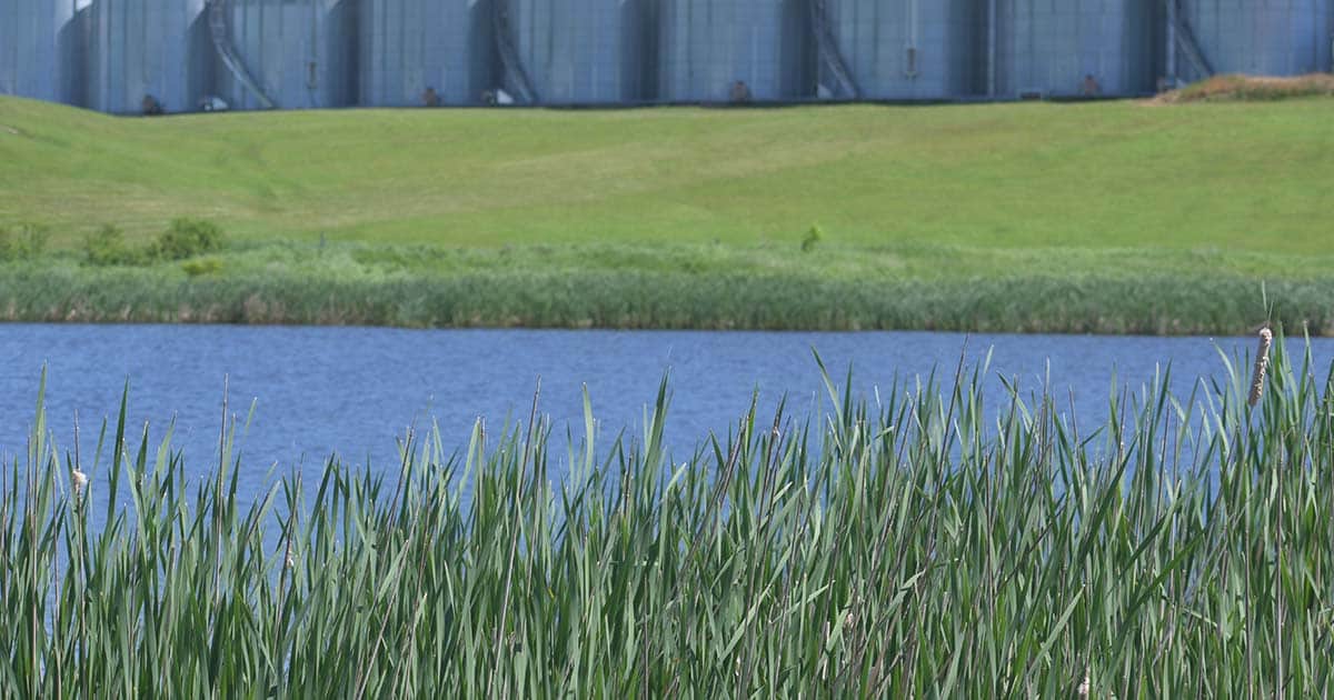 Grain bins next to a marsh in southwest Manitoba.