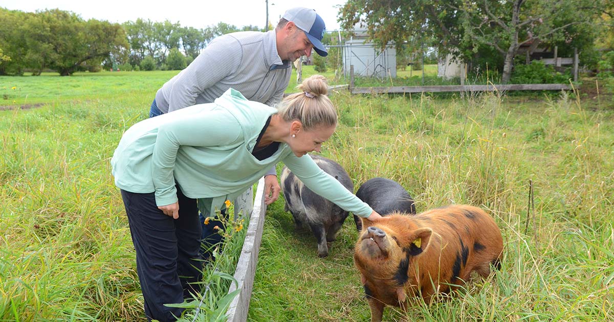 The Bialkoskis with pigs on their farm near Rossburn, Manitba.