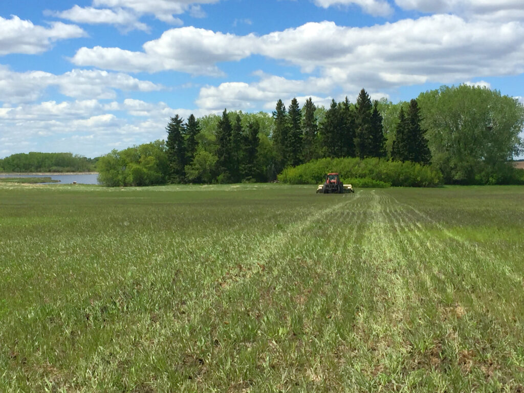 Manitoba farmer sod seeding