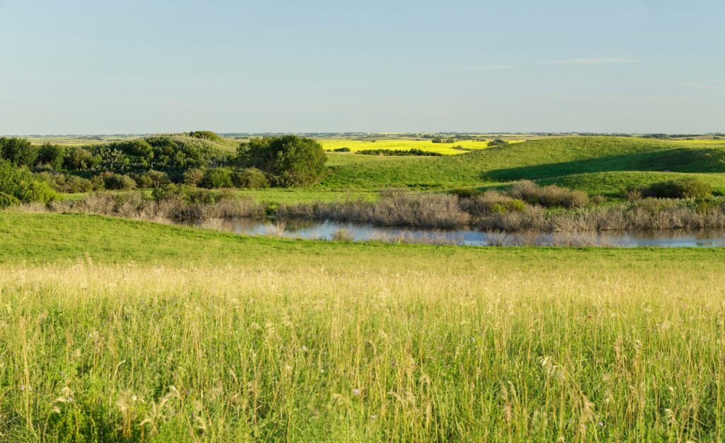 Allan Hills in Alberta