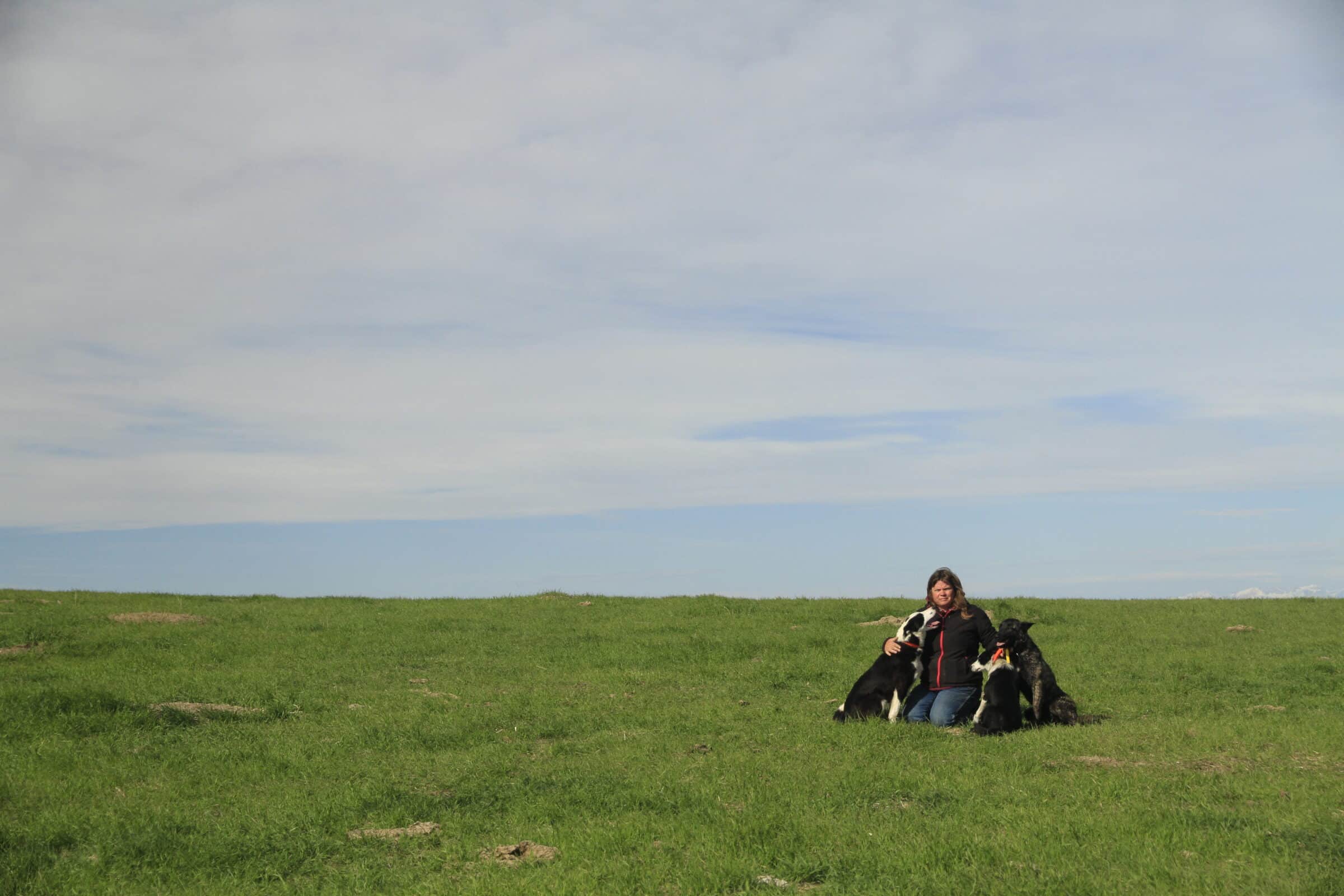 Audrey and her three dogs sitting in a green pasture