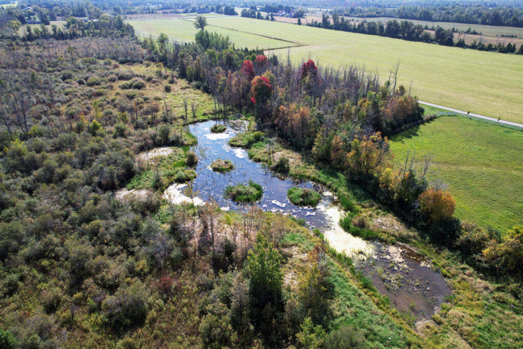 Healthy soil for Ontario farms