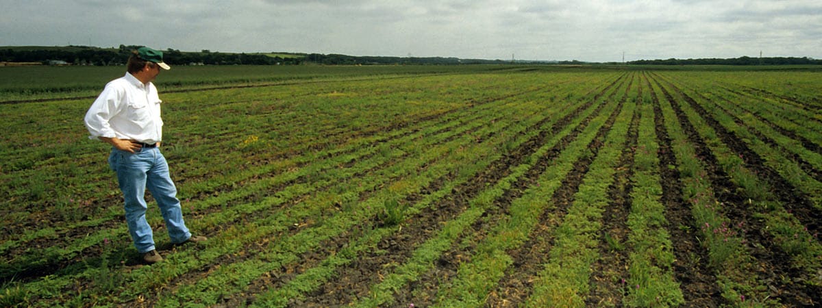 Healthy Soil in Ontario