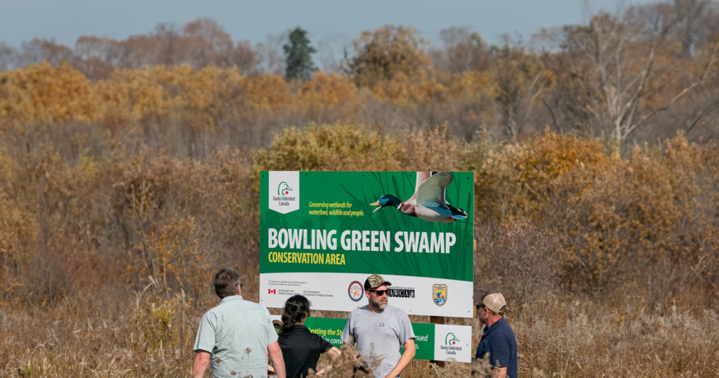 Four people standing in a field in front of the DUC bowling green swap signage