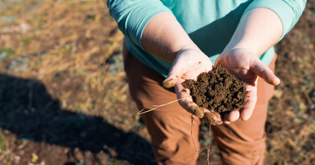 Benefits of healthy soil in Ontario