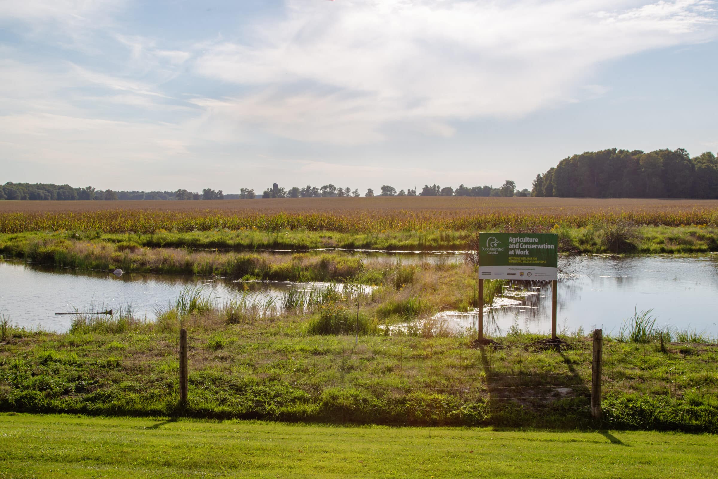 Wetlands working with agriculture