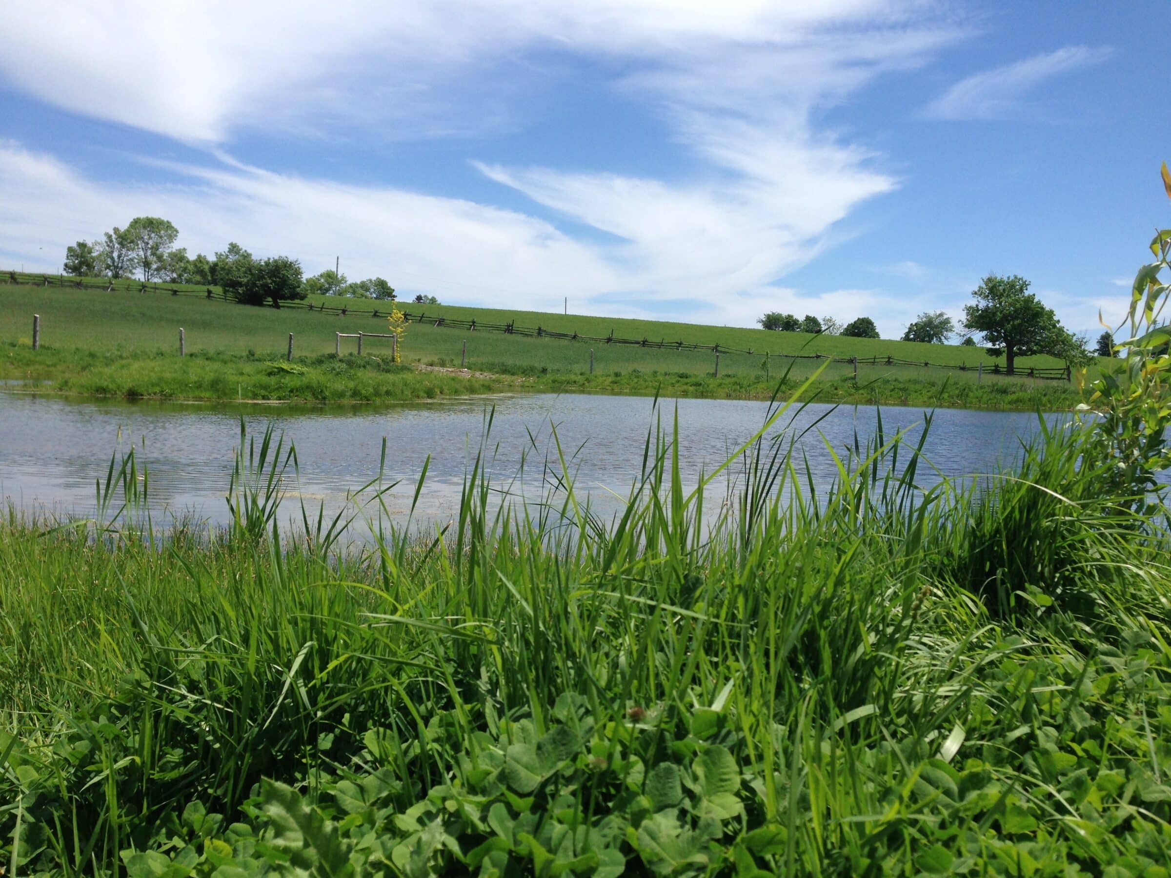 Healthy soil for Ontario farms