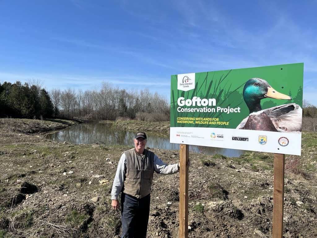 Restored spillway at an Ontario DUC wetland project