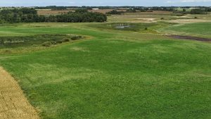 Aerial view of established forage in a field near Rapid City, Manitoba, in the first spring after dormant seeding