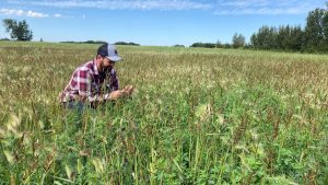 DUC staff inspecting Odanah Pasture